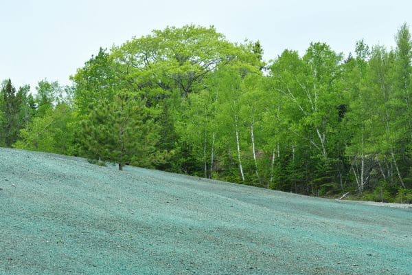 Hydroseeding Lawns Salcorp Landscaping