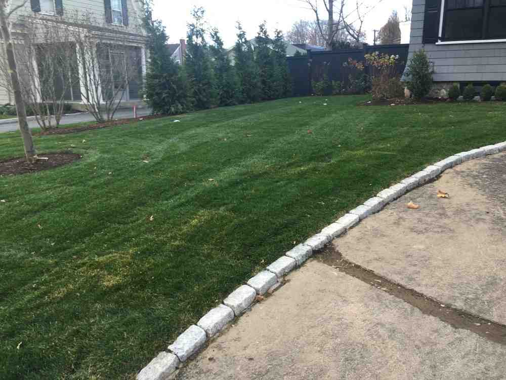 From Bare Dirt to Backyard Bliss