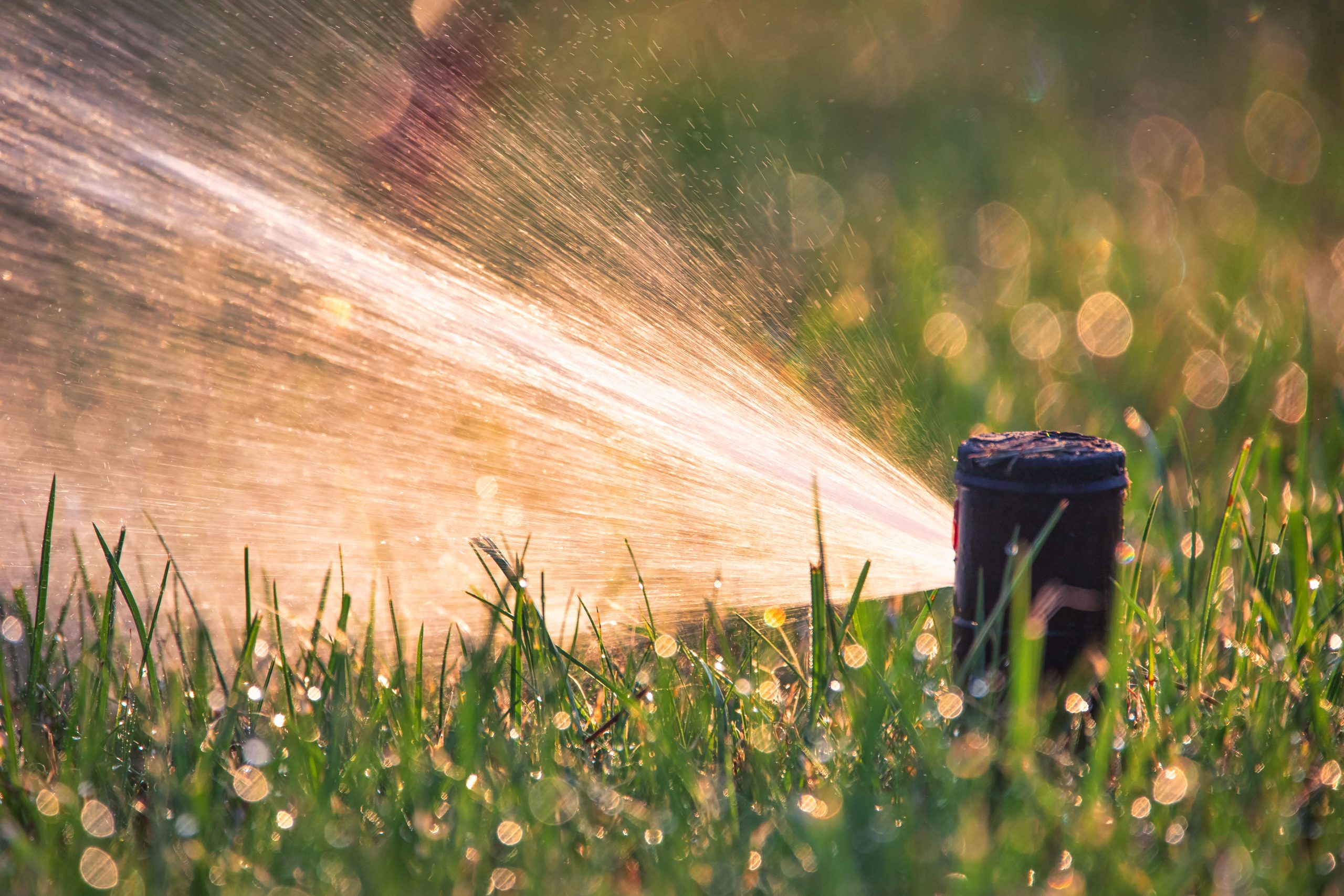 Irrigation system with zone coverage on a SalCorp project Massachusetts